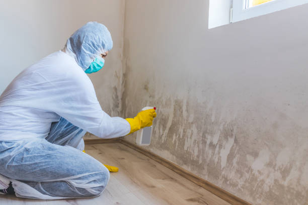 Licensed Commercial Mold Remediation service in Watertown, TN - WQB Mold Removal