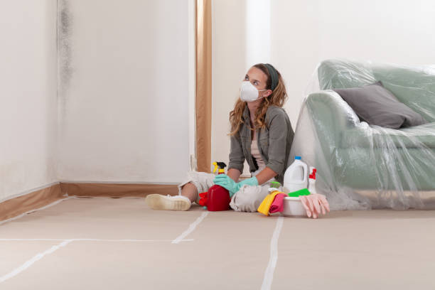 Reliable Commercial Mold Remediation contractor in Watertown, TN by WQB Mold Removal